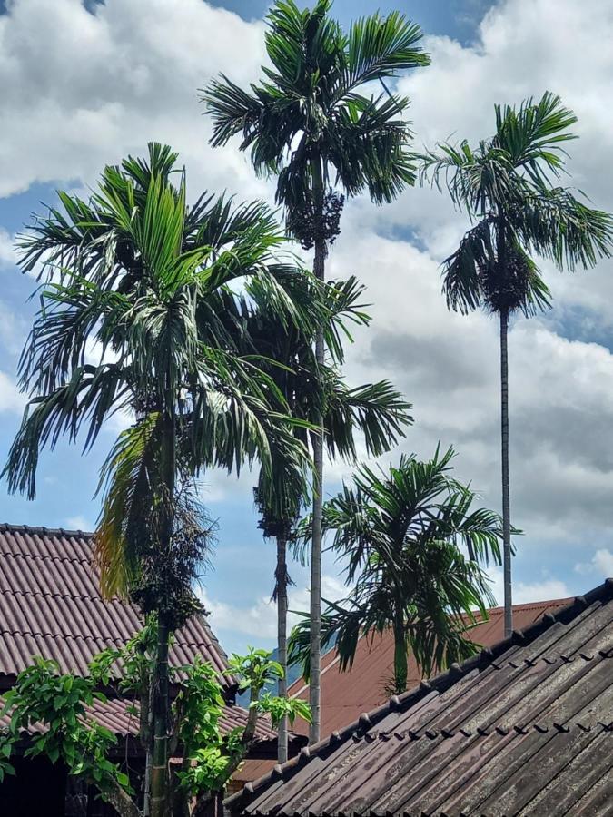 Vang Vieng Queen'S- Mountain View Hotel 외부 사진